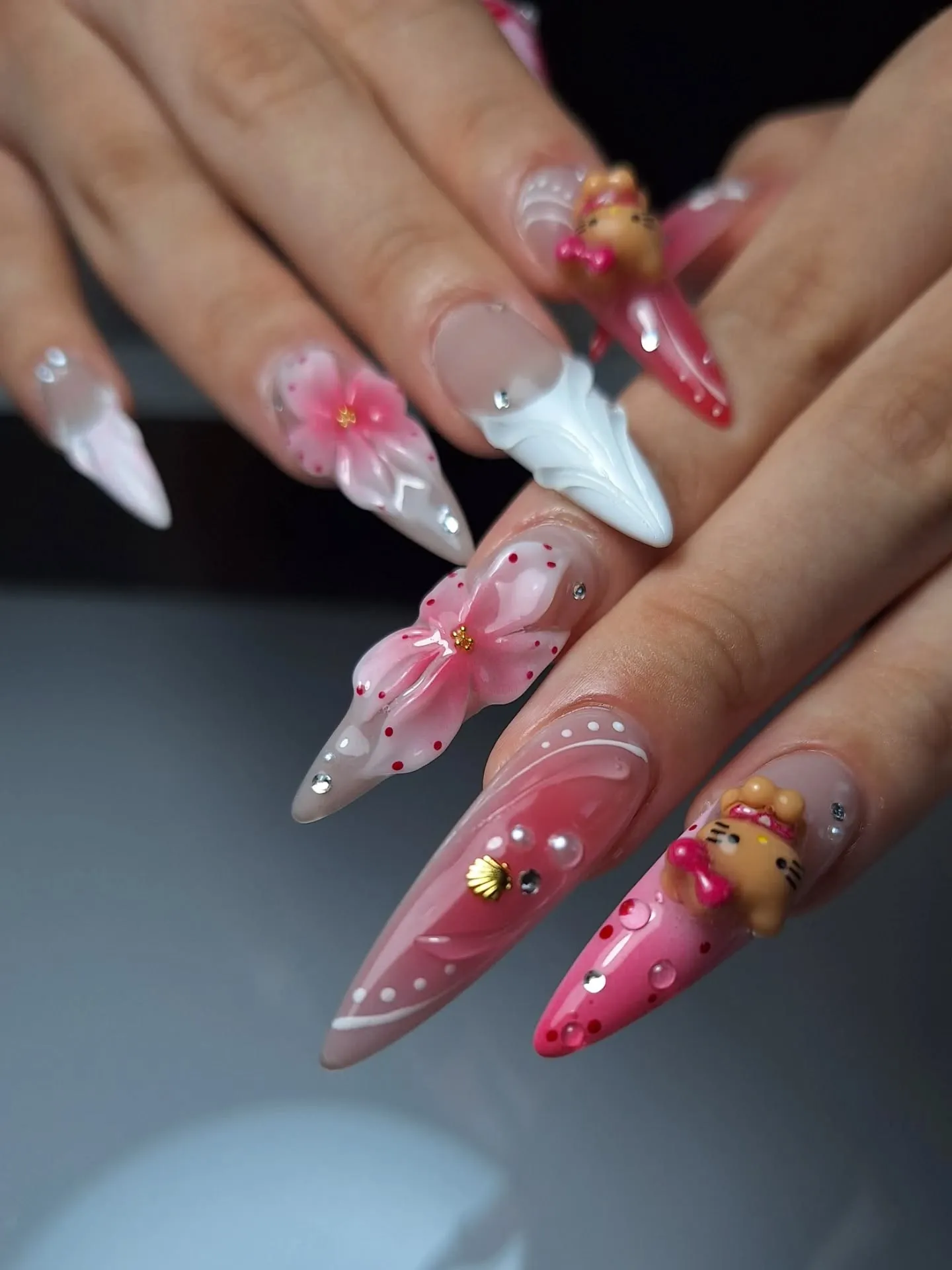 🐬🌺🪸